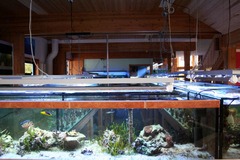 Killikus&reg; Fotographie